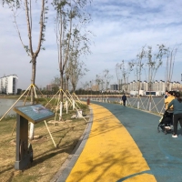 柘城容湖國(guó)家濕地公園，深秋美如畫