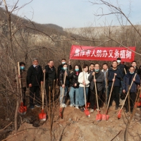 早春時(shí)節(jié)植樹(shù)忙 焦作人防開(kāi)展春季義務(wù)植樹(shù)活動(dòng)