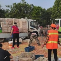 拉雞蛋貨車側(cè)翻，商丘環(huán)衛(wèi)工人和路過市民紛紛上前幫忙撿拾雞蛋