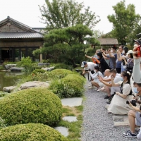 絲路織紐帶 攜手向未來丨這個太白山唐風小鎮(zhèn)，讓你“秒回”唐朝