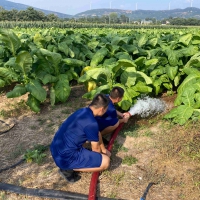 郟縣：消防送水到田間 抗旱保秋解煩憂