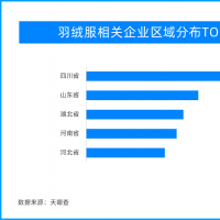 河南有羽絨服相關(guān)企業(yè)1070余家 全國排第四位