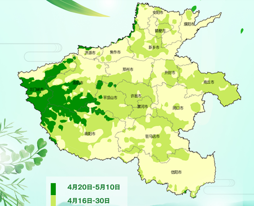 2024河南楊柳絮盛飛預(yù)警地圖出爐