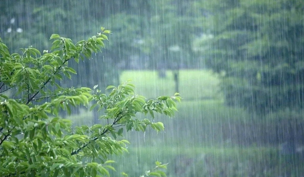 中央氣象臺(tái)發(fā)布暴雨黃色預(yù)警，河南東南部等地有大到暴雨