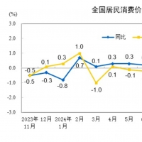 2024年11月份居民消費價格同比上漲0.2%